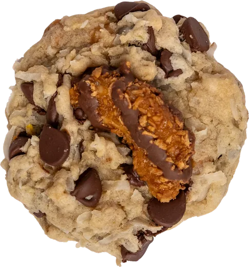 Coconut Caramel Chocolate Chip cookie